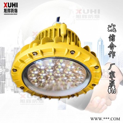 XHD610-LED-9123防爆灯20W30W40W厂用防爆吸顶灯/可加应急