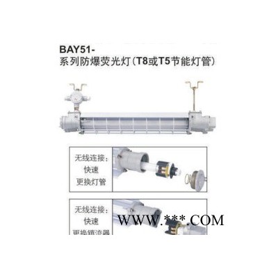 金顿BAY51-E系列防爆荧光灯(节能LED灯管） 询价请咨询客服