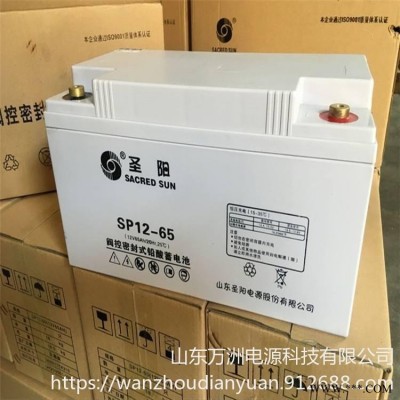 圣阳SP12-65圣阳蓄电池12V65AH免维护 风能电站/UPS/路灯/太阳能蓄电池