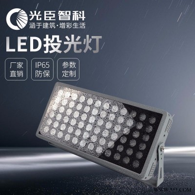 光臣照明LED投光灯 绿光LED射树灯 户外景观投光灯