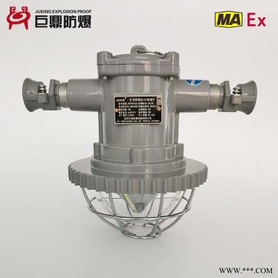 DGS30/127L(A)隔爆型LED投光灯矿用,30W/127V防爆投光灯