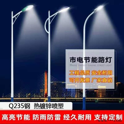 40瓦市电路灯价格表 锂电池路灯 英谷光电双头市电路灯 质保三年