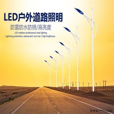 厂家供应市政自弯臂路灯 LED市电路灯 6米路灯兴诺光电