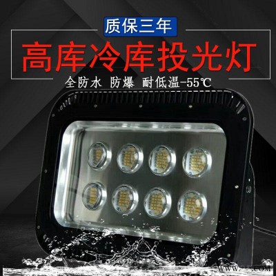 福建大功率冷库投光灯物流仓储照明灯 36v大功率冷库灯 日亚灯珠 耐低温-45度冰库冷藏库专用led灯 防水防爆led照