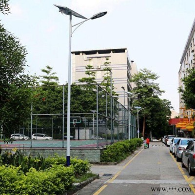 兴安路灯 led火炬太阳能路灯 市电路灯公司  led双臂灯