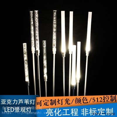 LED户外景观灯亚克力棒麦穗芦苇灯户外防水地插草坪灯定制生产