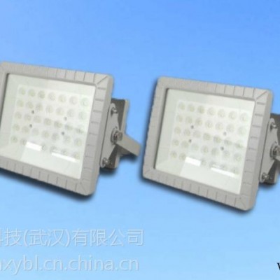 武汉市 化工厂LED防爆投光灯100W 150W 180W