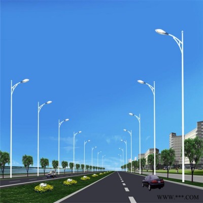 市电路灯来图定制   林芝市路灯批发    双臂LED路灯