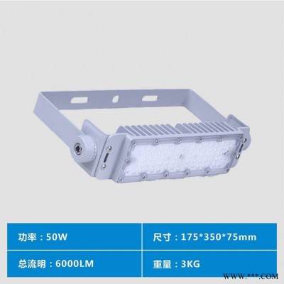 led隧道地铁照明投光灯50W