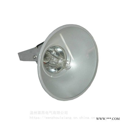 EBF203EBF203-250W400W防震型投光灯