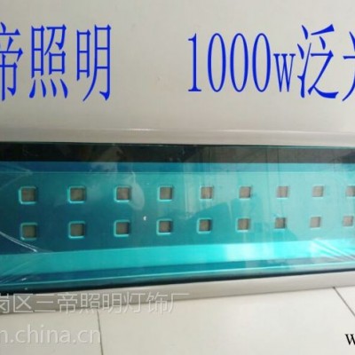 1000w大功率投光灯有吗