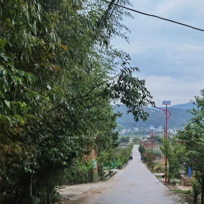 锂电太阳能路灯供应商-瑞丽锂电太阳能路灯-云南亮途源路灯批发