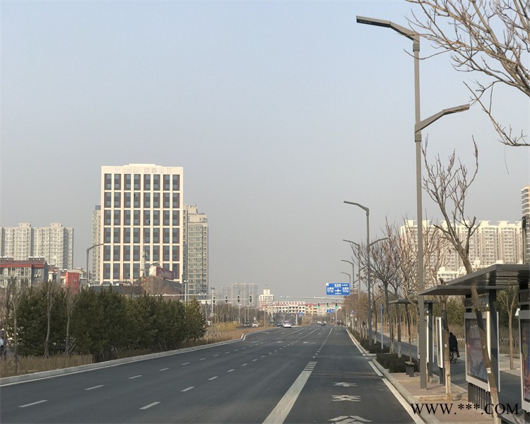 山西太阳能道路灯安装-太阳能道路灯-山西中汾亚明公司(查看)图1