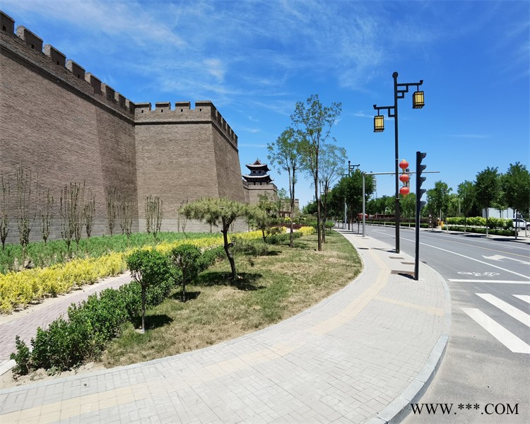 太阳能道路灯-中汾亚明照明-山西太阳能道路灯厂家图1