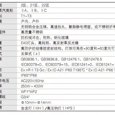 BAT1201防爆防腐泛光灯