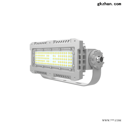 GSF9770C/LED三防投光灯/一模组灯80-100W