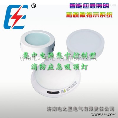 集中电源集中控制型消防应急照明灯具吸顶应急灯DD-ZLJC-E2W/D