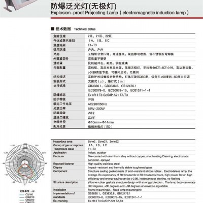 BAT1202防爆防腐泛光灯(无极灯）