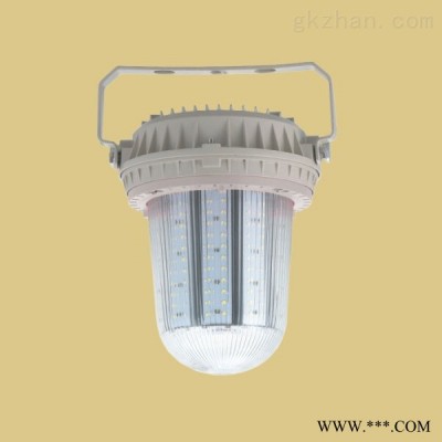 FZD181-202系列免维护（三防）LED防眩泛光灯（固定式通用灯具）