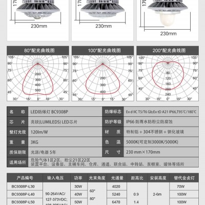 LED防爆灯（杆式）