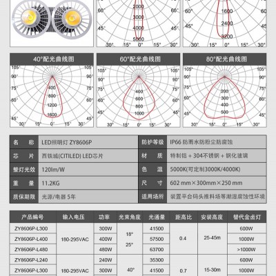 LED照明灯（杆式）