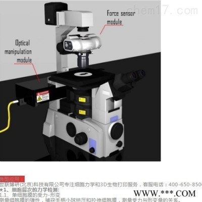 DNA/RNA动力学特性测试分析