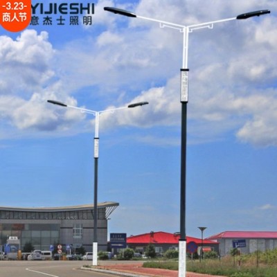 LED10米市电路灯杆公路城市主干道双头市电路灯民族风道路灯批发