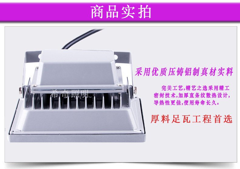 广告射灯亮化工程led投光灯50W 绿化园林照树灯外墙投射灯示例图3