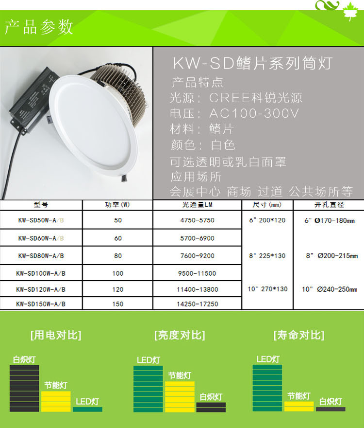 新型大功率筒灯 鳍片镀镍8寸客厅天花射灯 外贸工程筒灯示例图2