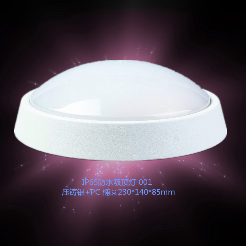 【厂家直销】IP65防水吸顶灯 led 红外 雷达 声光控 感应示例图7