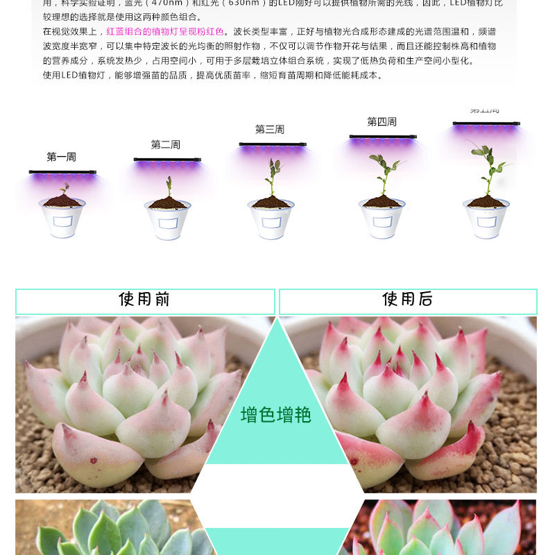 fonkin新款红蓝光led夹式植物台灯16W usb供电双头植物生长补光灯示例图11