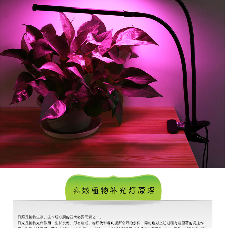 fonkin新款红蓝光led夹式植物台灯16W usb供电双头植物生长补光灯示例图10