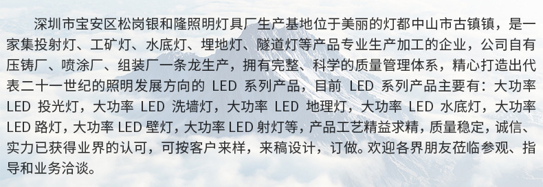 厂家直销高品质LED大功率 100W新款背包投光灯  泛光灯外壳示例图14