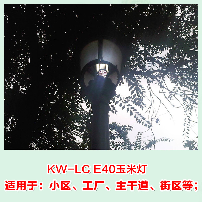 厂家批发七彩草坪灯内部LED灯芯30W 40W 50W 60W 80W 户外景观灯示例图12