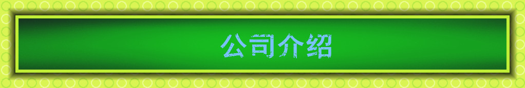 不锈钢防云石壁灯 公园广场园林小区别墅路灯 庭院灯 户外室内灯示例图126